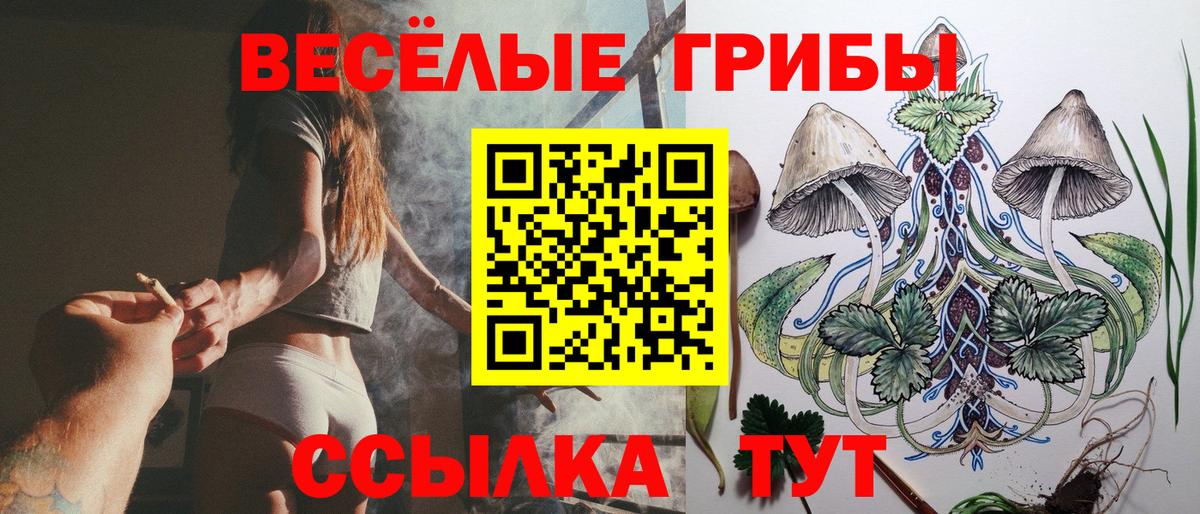Псилоцибиновые грибы прущие грибы Зерноград