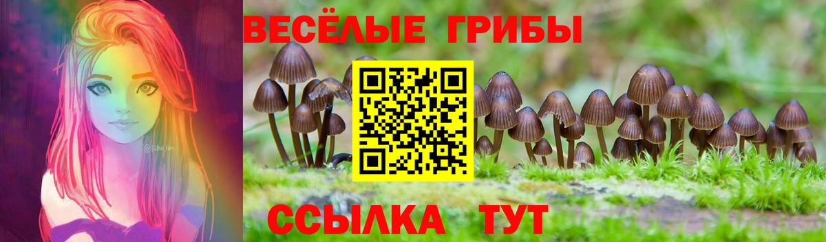 Псилоцибиновые грибы MAGIC MUSHROOMS  Вход с VPN  Зерноград  Псилоцибиновые грибы мухоморы 