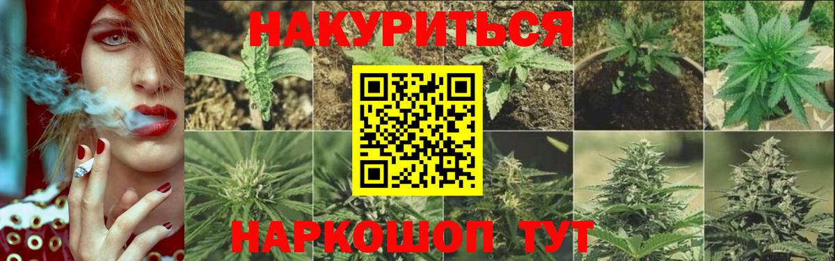 Конопля OG Kush  Бошки марихуана Amnesia  Вход с VPN  Зерноград 